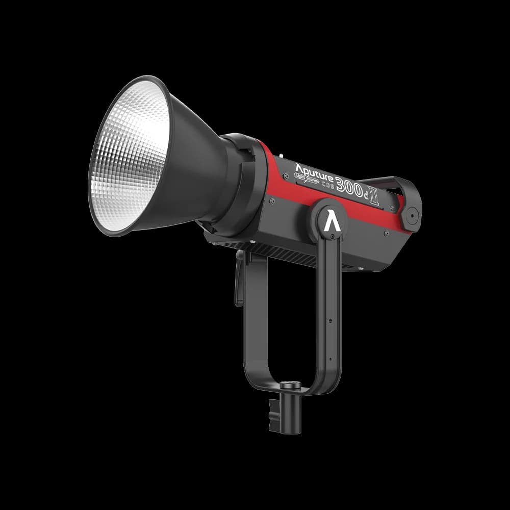 Aputure LS 300d II 2